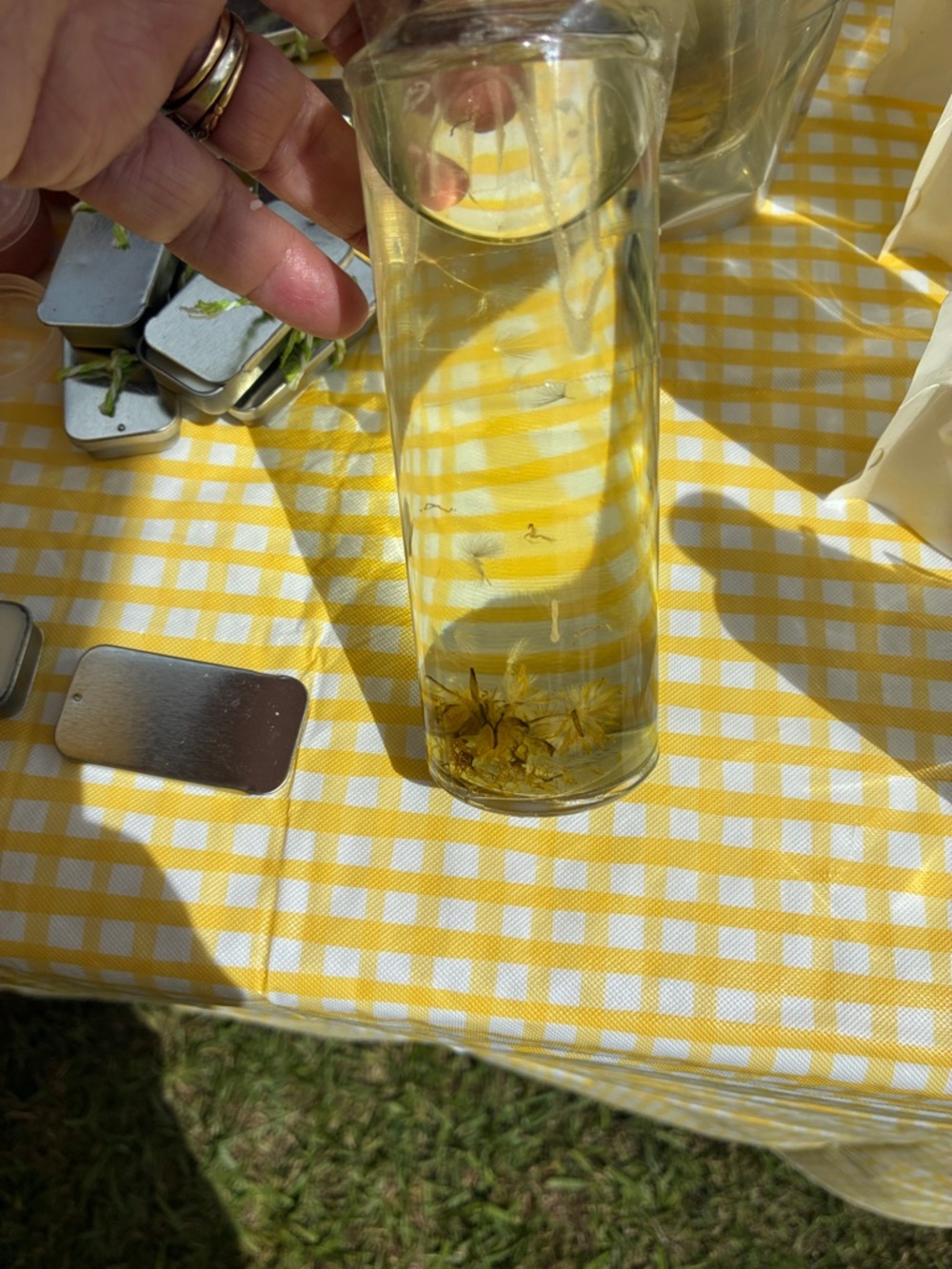 Dandelion all purpose, radiant oil made with EO blend NWT – yellow flower farm
